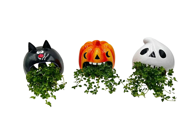 5" Dishgarden Assorted Halloween Howlers (Box of 9)